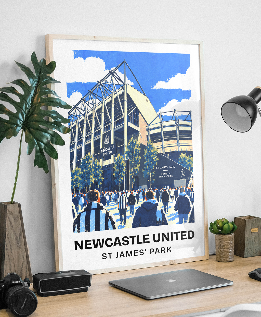 St James' Park Print