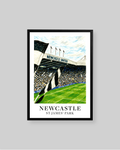 A framed art print of Newcastle St James' Park stadium, featuring a stylized illustration of the green pitch, stands, and 'Newcastle United' signage, presented in a black frame against a light gray background.